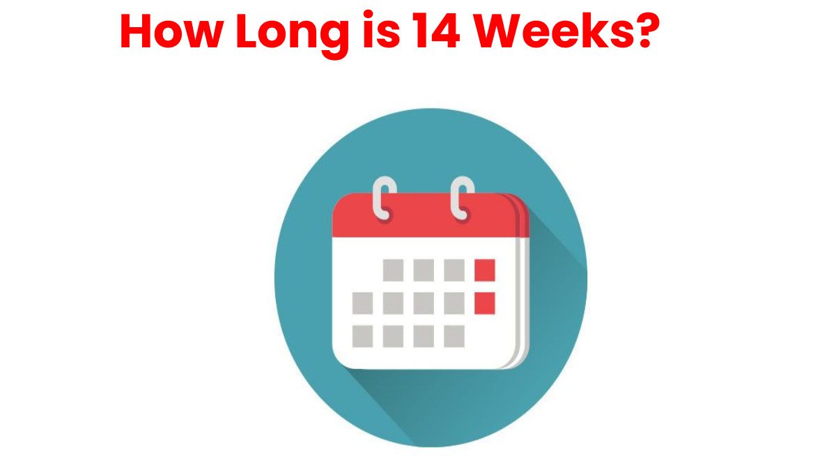 How Long Is 14 Weeks The Reddit Blog